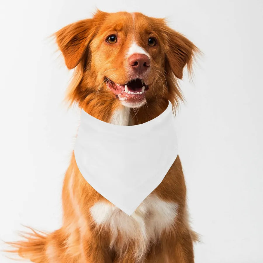 Adjustable Pet Bandana