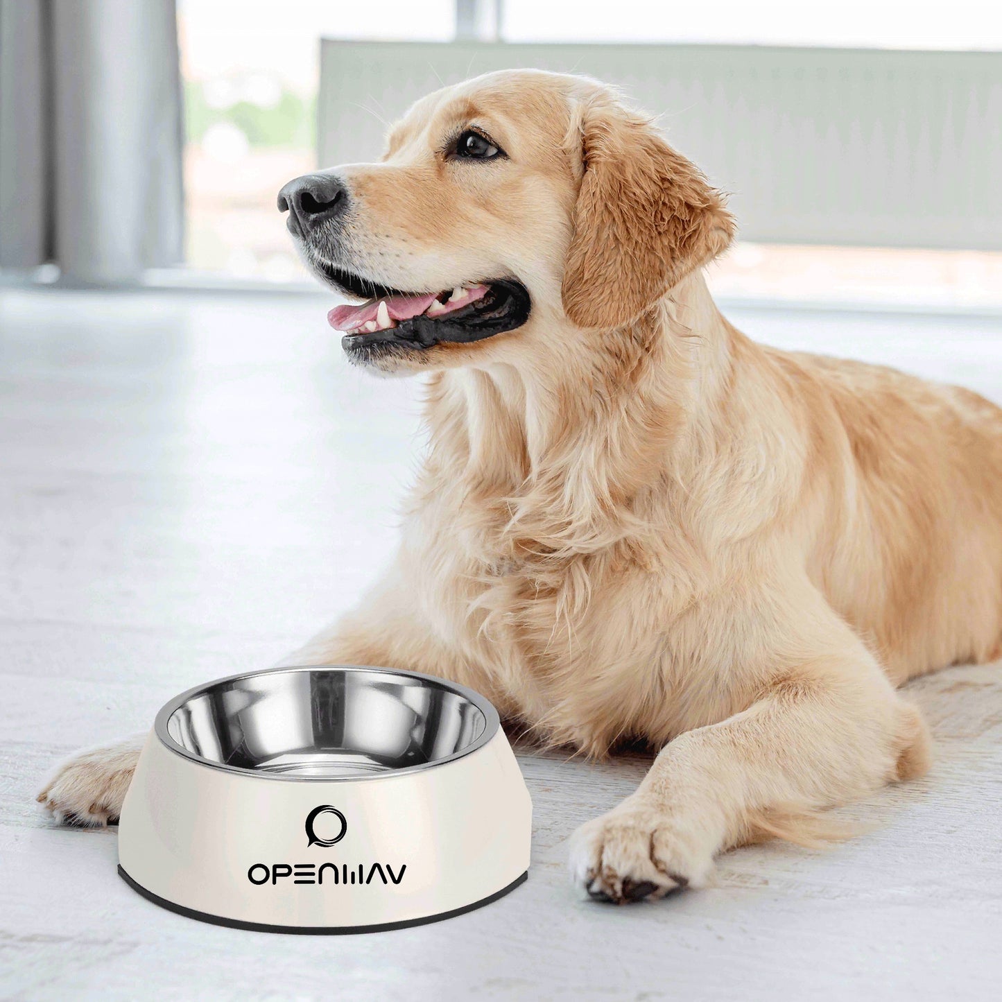 OpenWav Pet Bowl | Stainless Steel