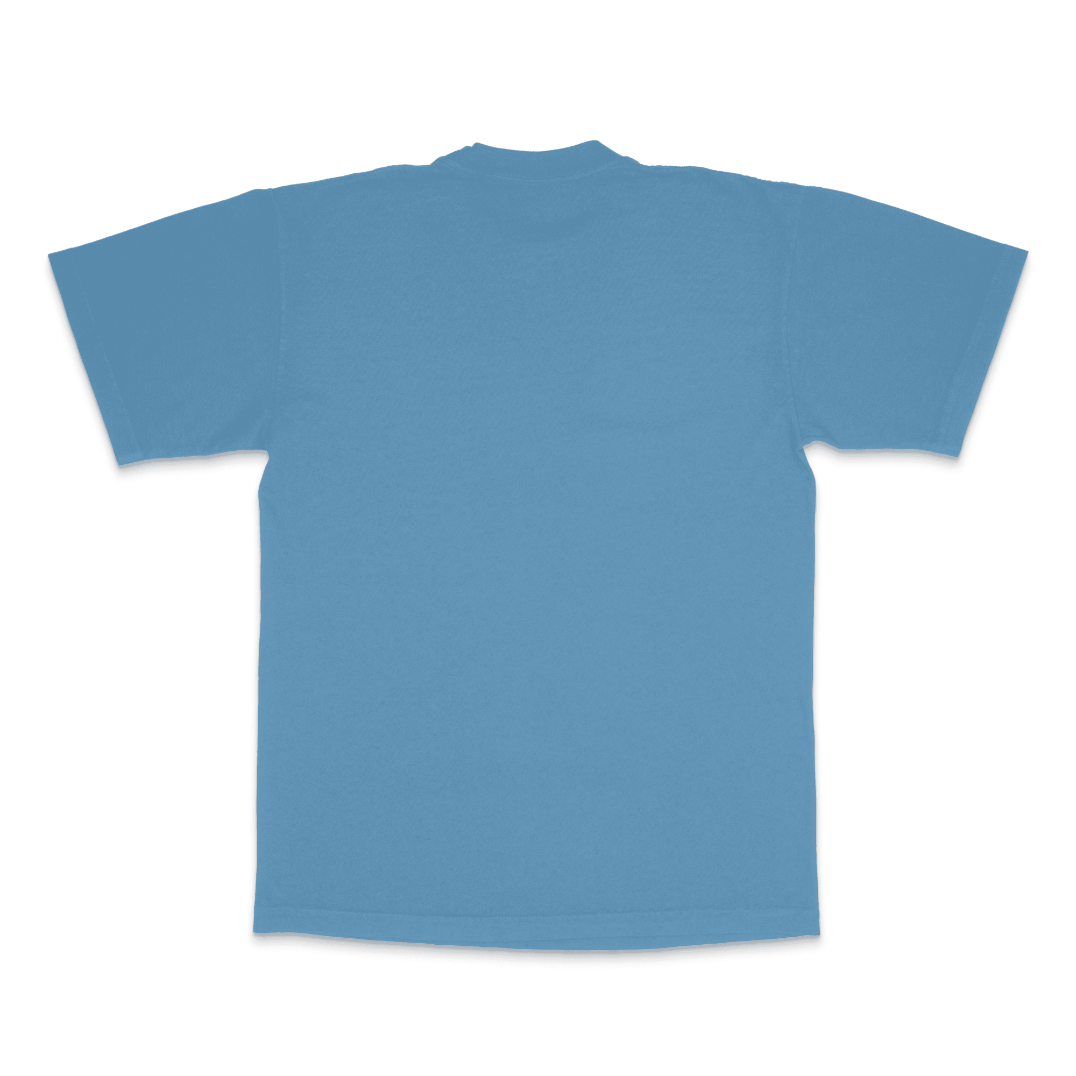 ICBBM SPLASH LA Apparel Heavyweight T-shirt