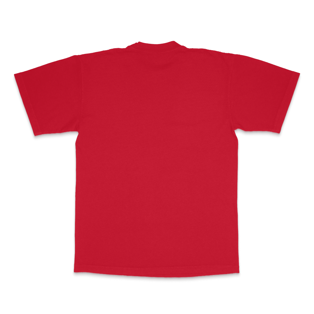 ICBBM SPLASH LA Apparel Heavyweight T-shirt