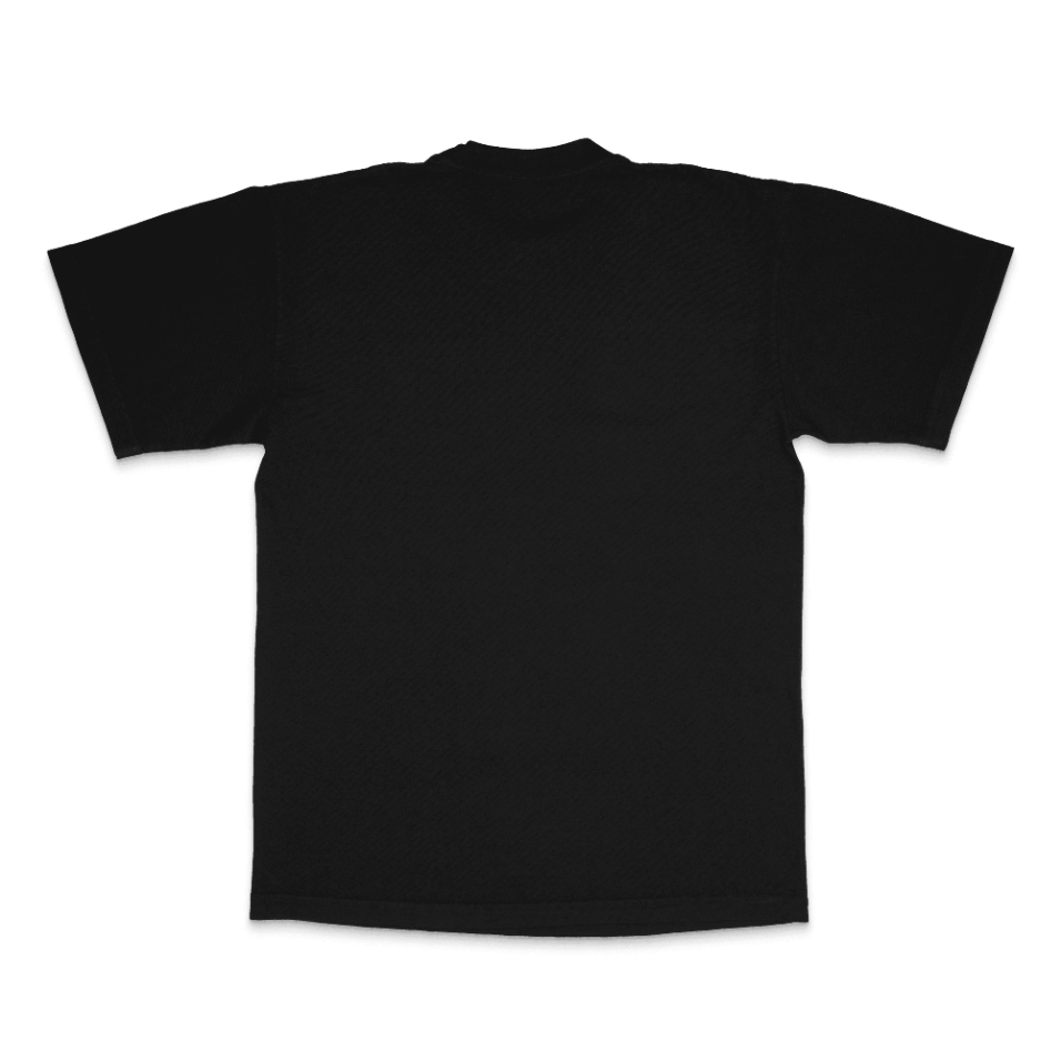 ICBBM SPLASH LA Apparel Heavyweight T-shirt