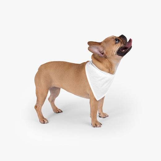 Pet Bandana