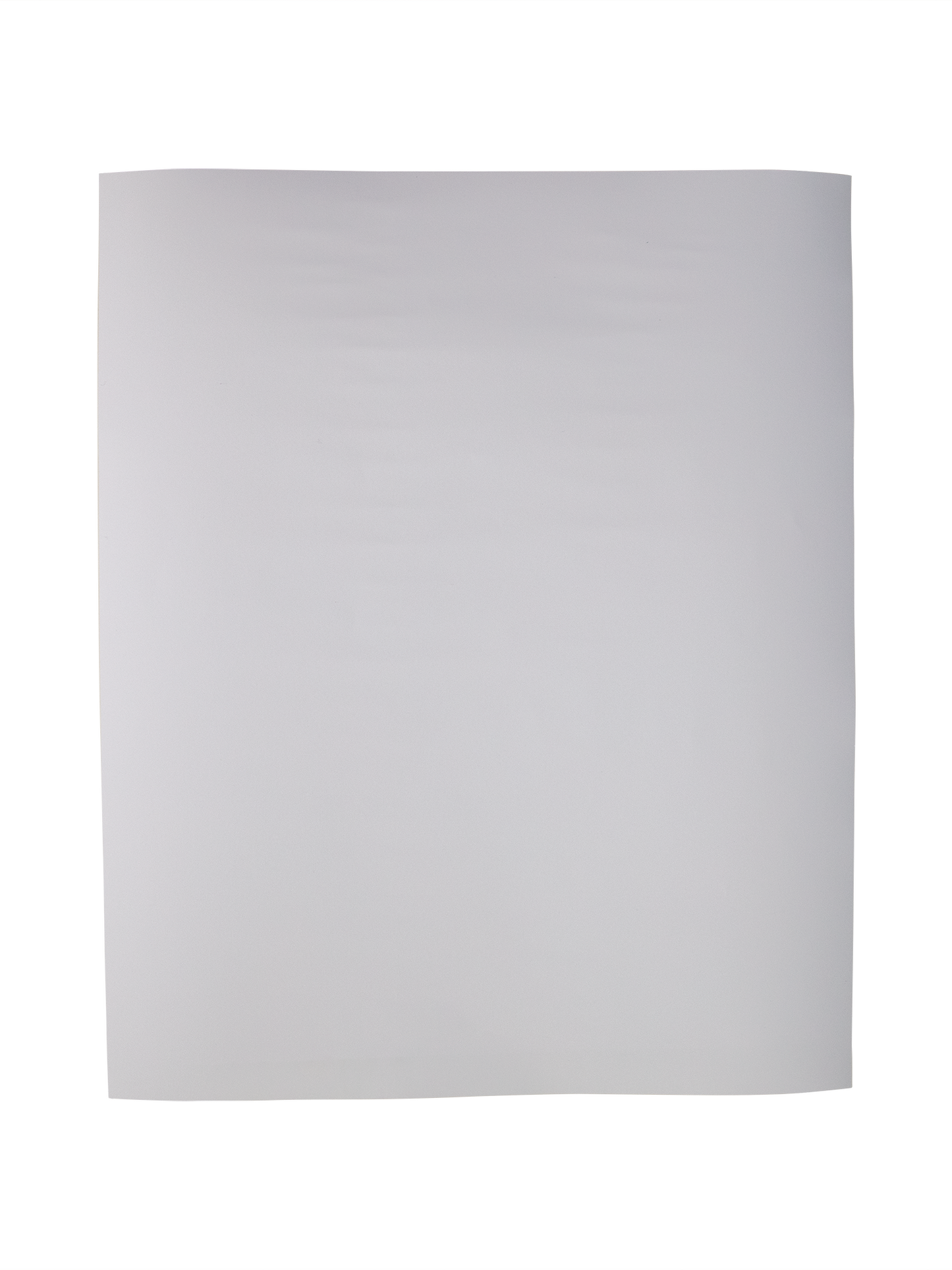 Wall Poster Print